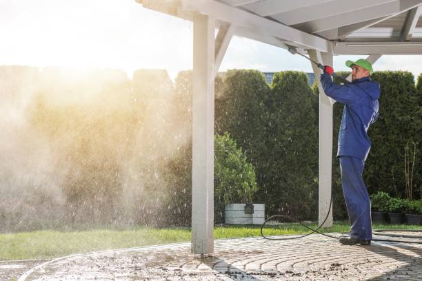 Animal Enclosure Cleaning in Laguna Hills, CA